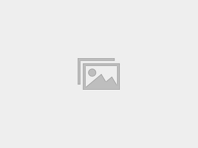 Module 17: Capstone Exam